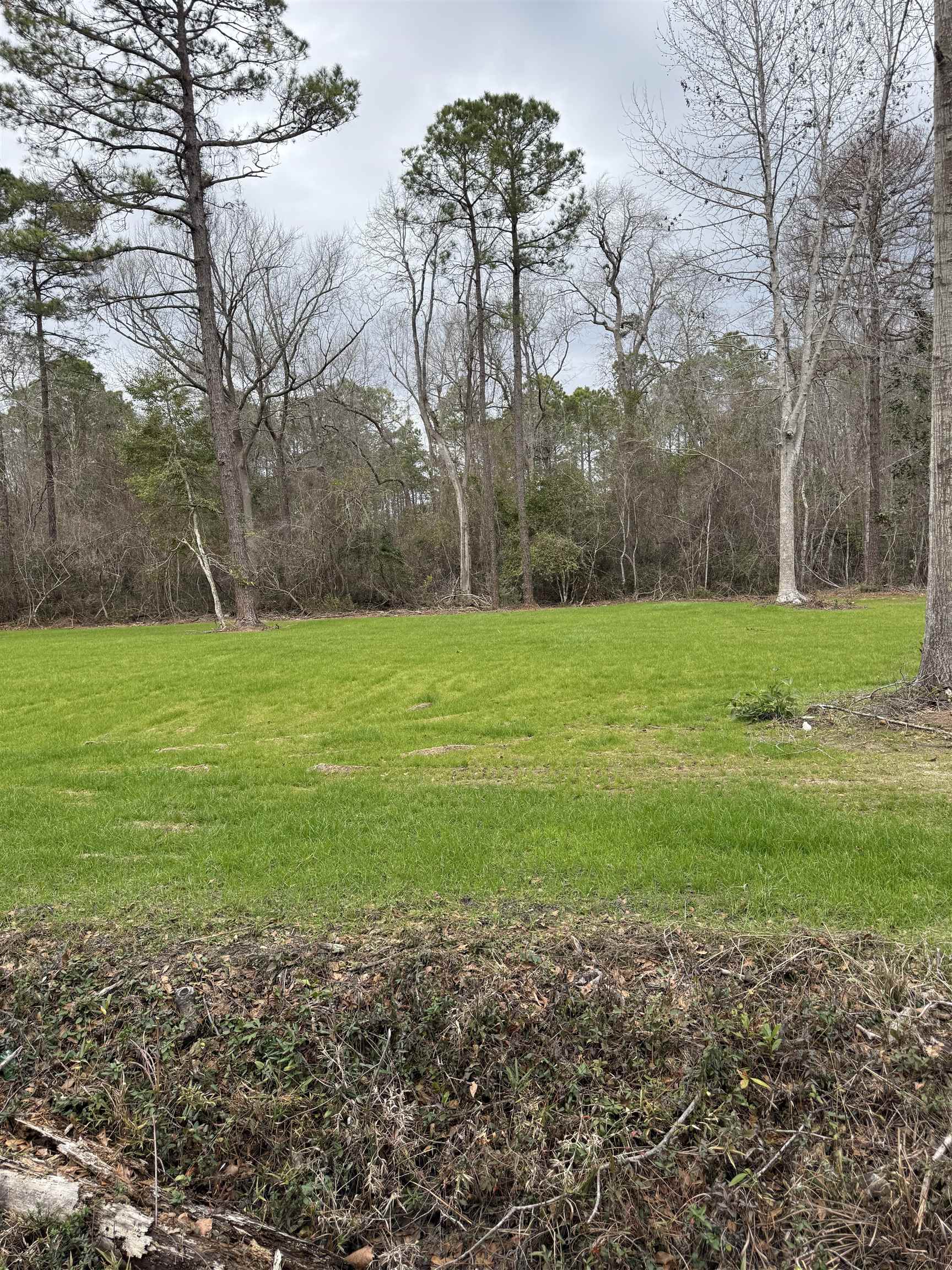 Tbd Alford Road Conway, SC 29526 - Photo 2 of 9