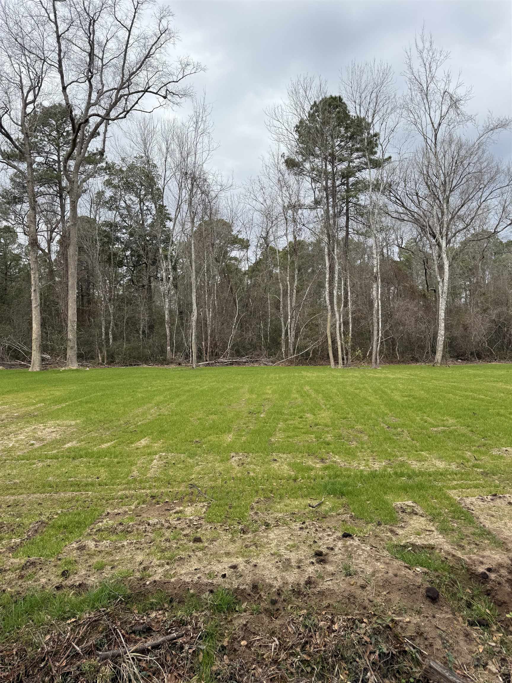 Tbd Alford Road Conway, SC 29526 - Photo 4 of 9