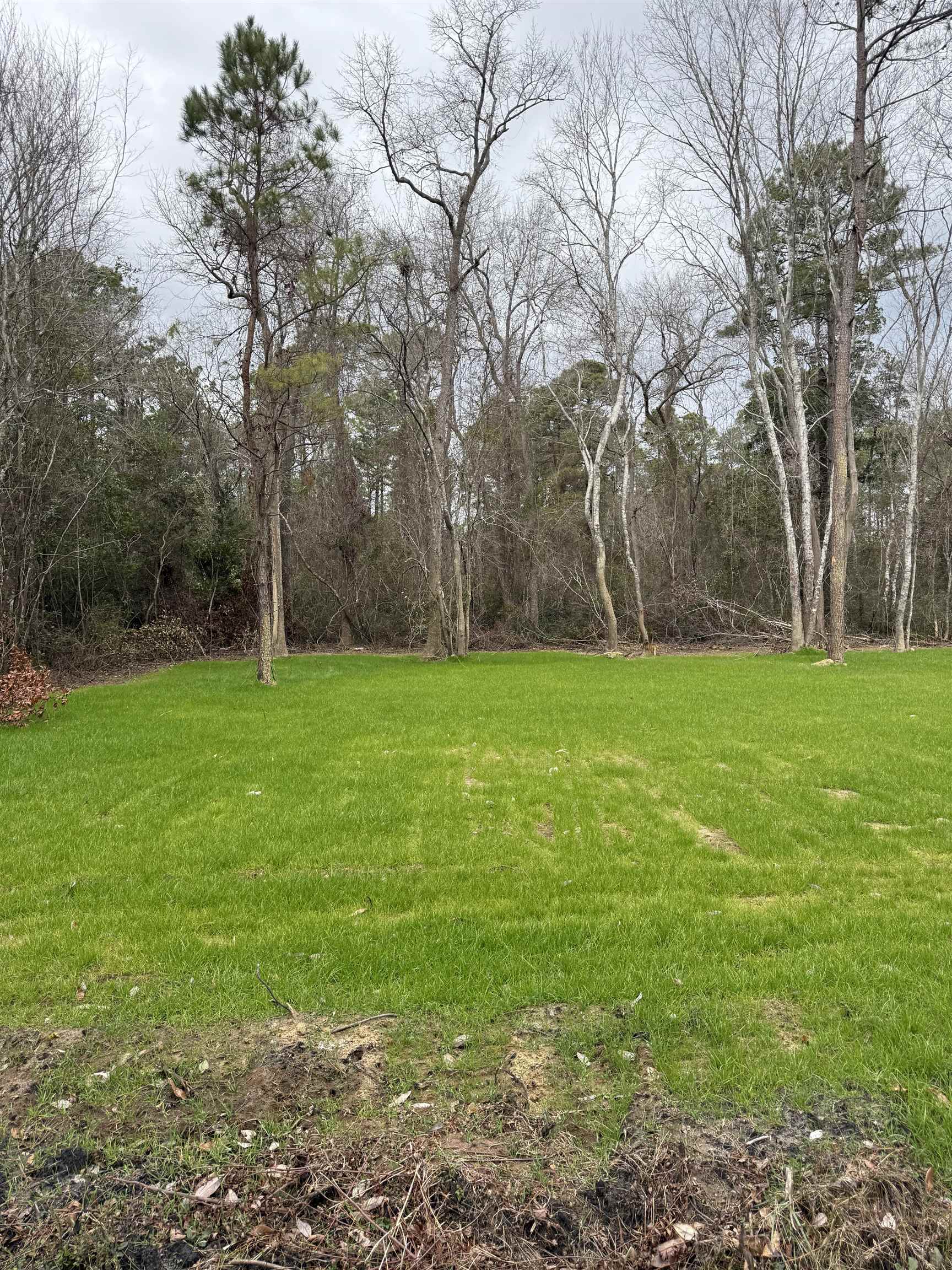 Tbd Alford Road Conway, SC 29526 - Photo 5 of 9