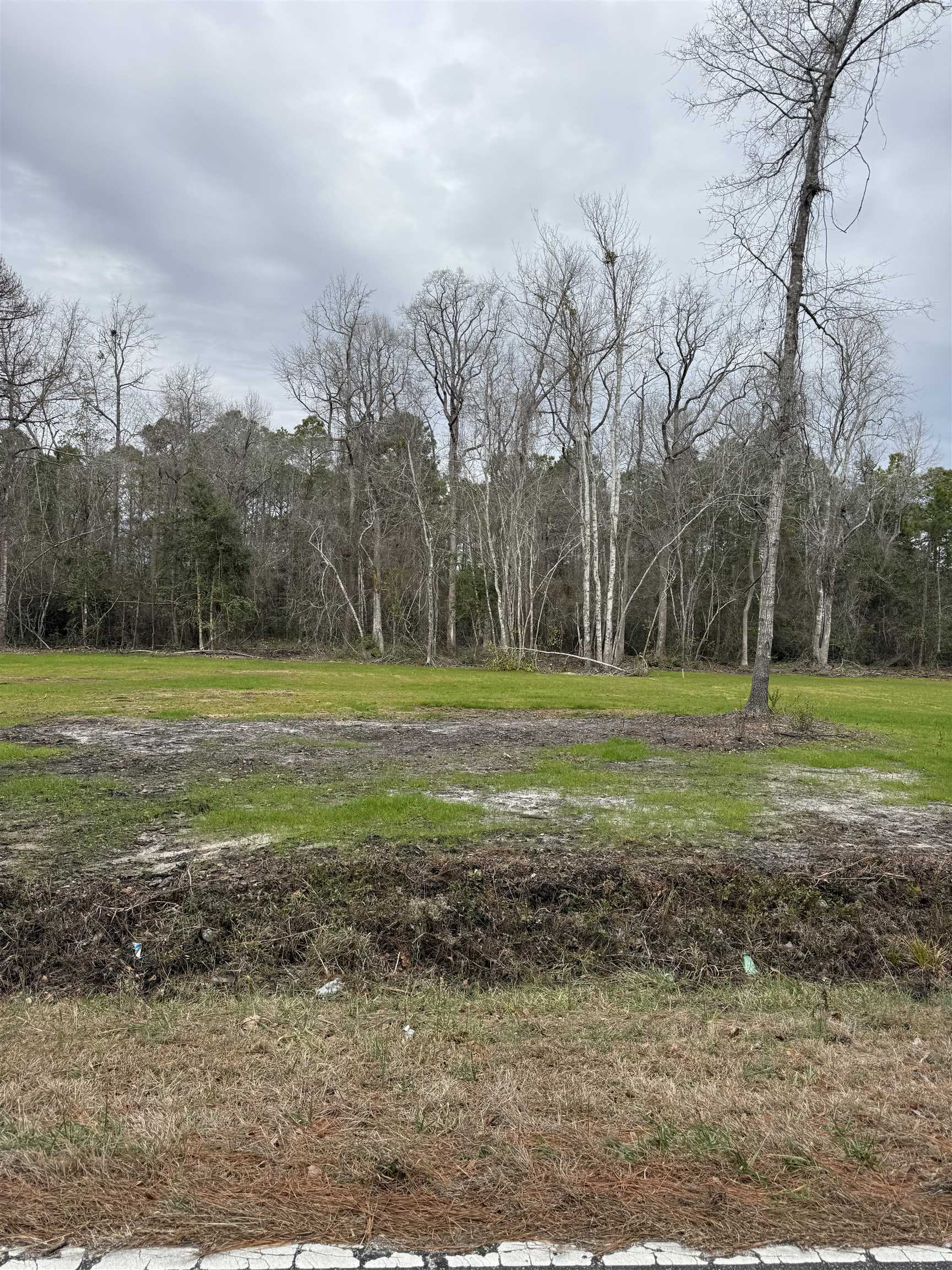 Tbd Alford Road Conway, SC 29526 - Photo 6 of 9