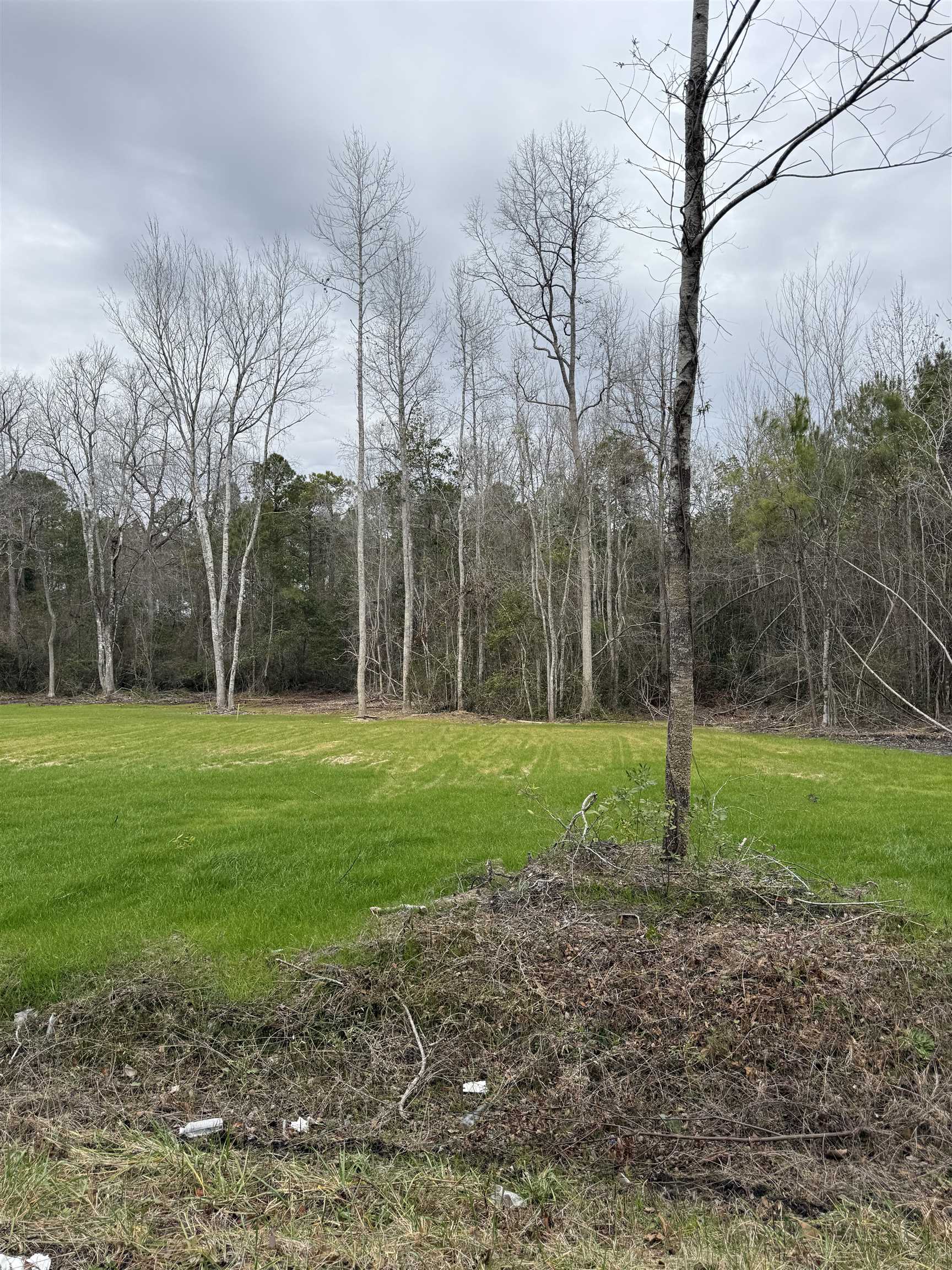 Tbd Alford Road Conway, SC 29526 - Photo 8 of 9