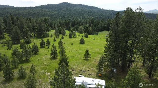 a view of a lush green forest with trees in the background