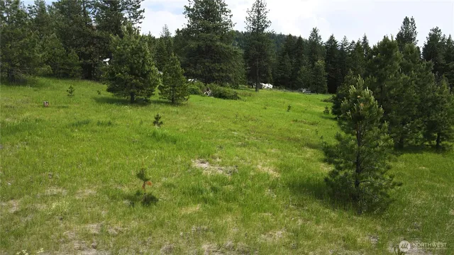 a view of outdoor space with green field and trees