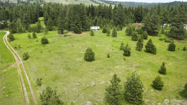a view of a big yard with green space