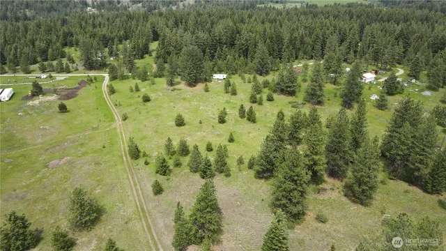 a view of a bunch of trees and bushes