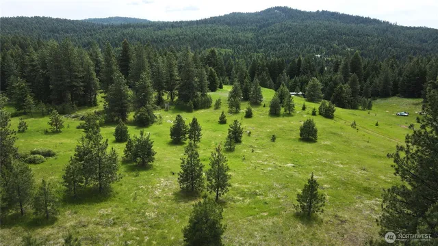 a big yard with lots of green space and deers