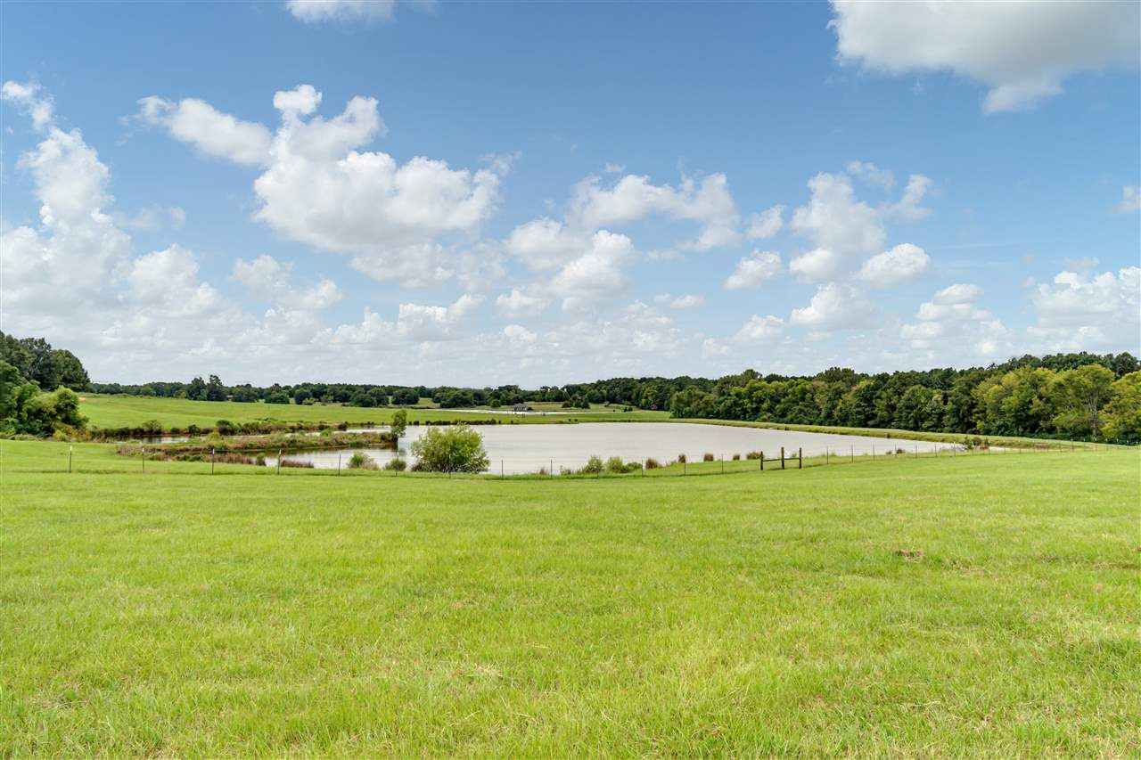 Cedar Hill Road, Unit PARCEL 2 Flora, MS 39071 - Photo 2 of 9 Photo 2