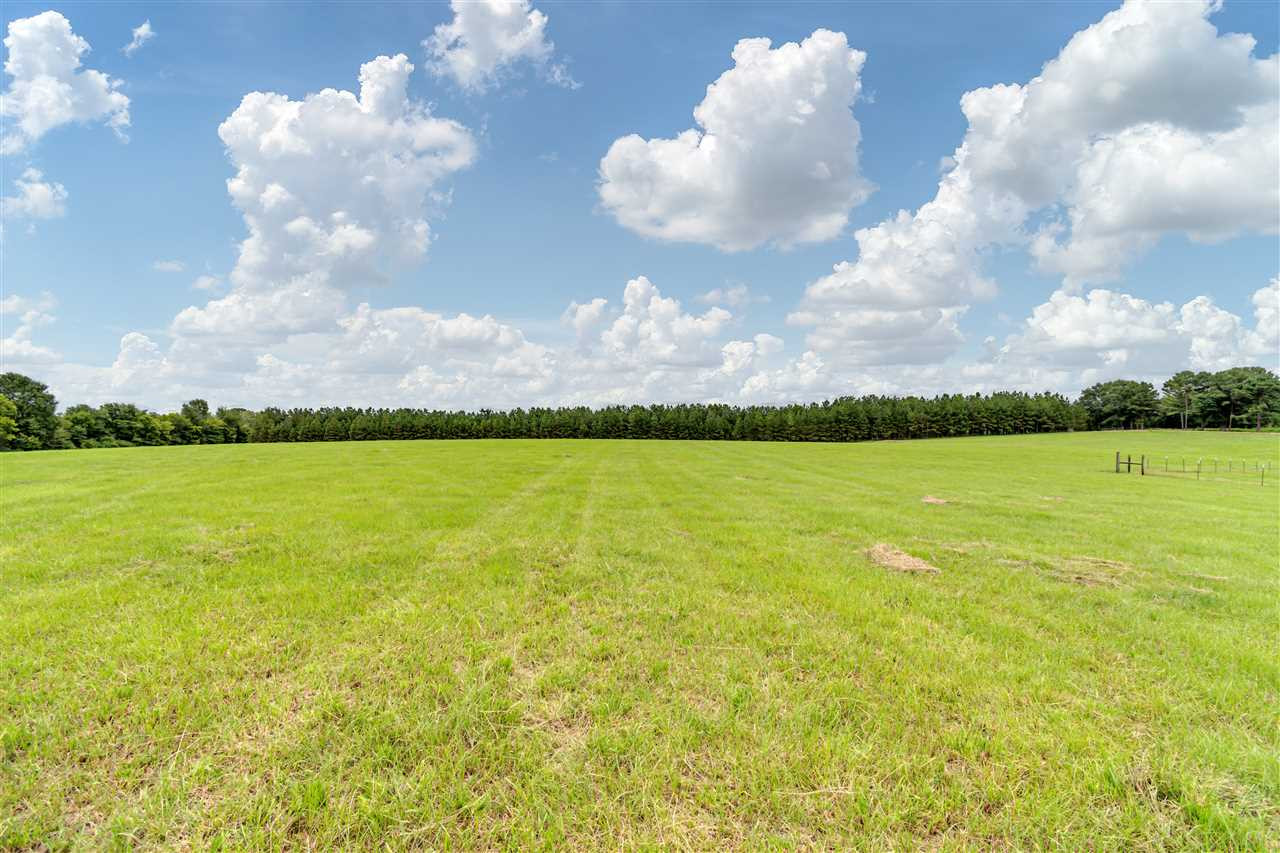 Cedar Hill Road, Unit PARCEL 2 Flora, MS 39071 - Photo 8 of 9 Photo 8