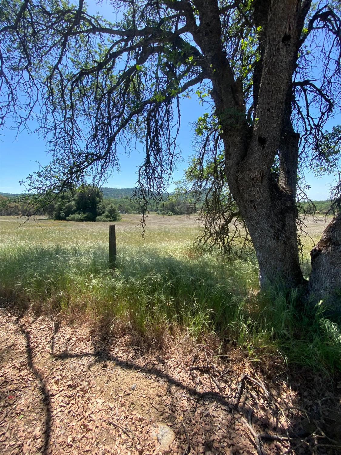 195 Ruth Hill Road Squaw Valley, CA 93675 - Photo 6 of 7 Gallery Image 6