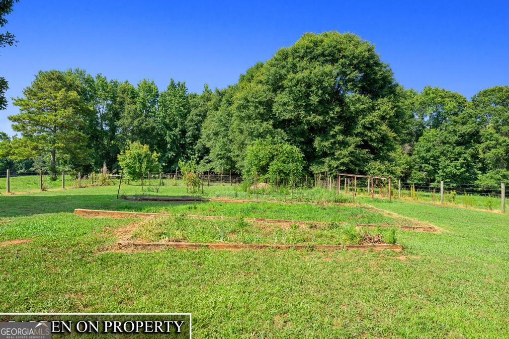 481 North Fairview Road Lavonia, GA 30553 - Photo 53 of 59 Garden Area