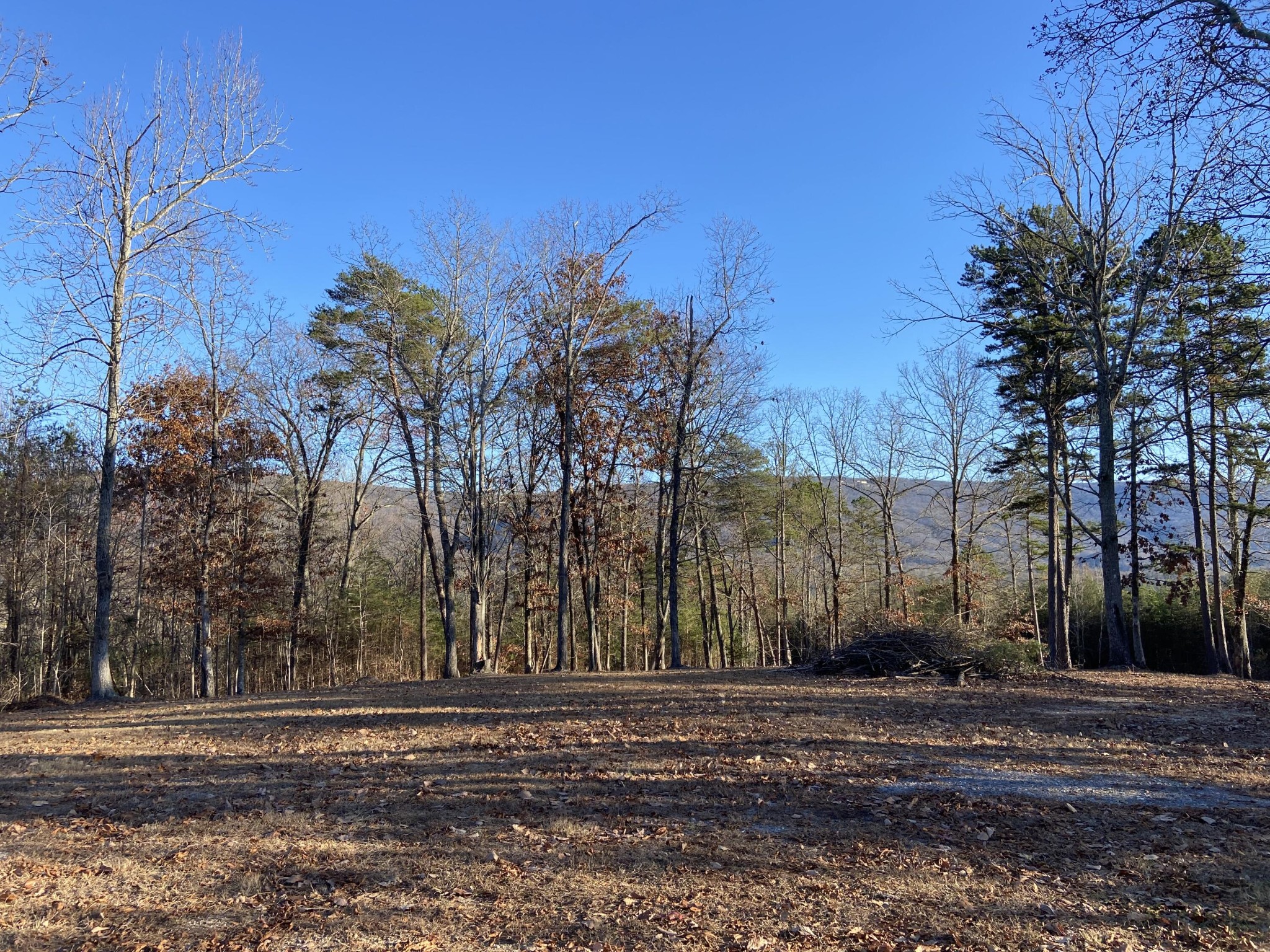 978 Press Pickett Road Whitwell, TN 37397 - Photo 1 of 36 Gallery Image 1