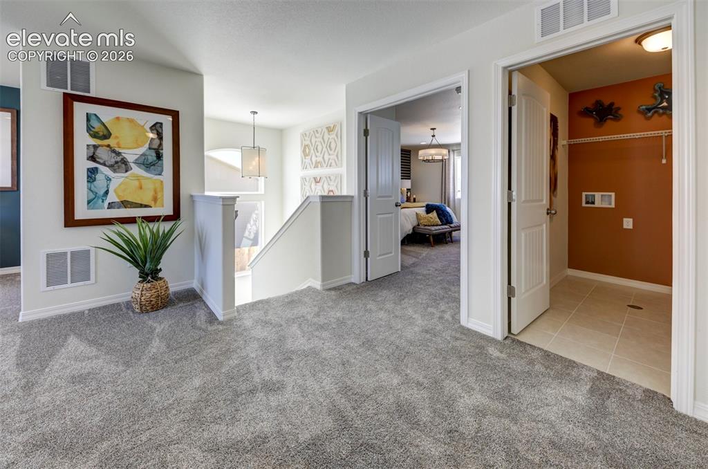 8230 Lemon Grass Road Falcon, CO 80831 - Photo 13 of 22