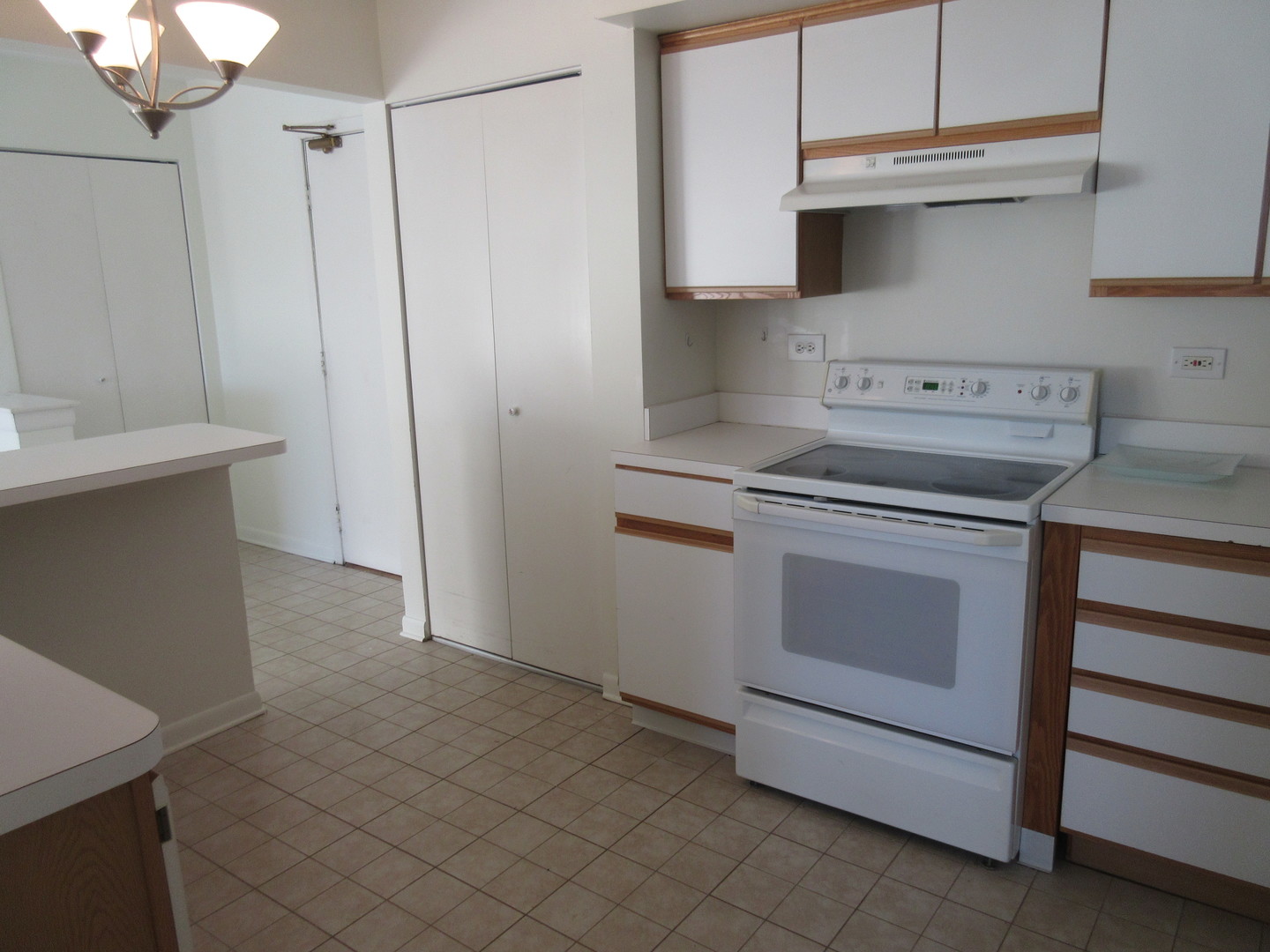 2214 South Goebbert Road, Unit 382 Arlington Heights, IL 60005 - Photo 2 of 9