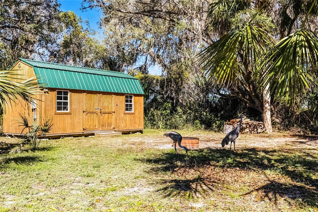 9041 East Gospel Island Road Inverness, FL 34450 - Photo 27 of 33 Gallery Image 27