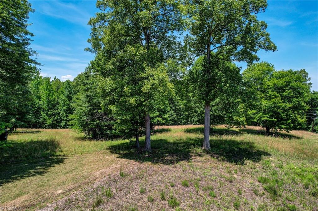 1406 Gibbs Road Reidsville, NC 27320 - Photo 45 of 50
