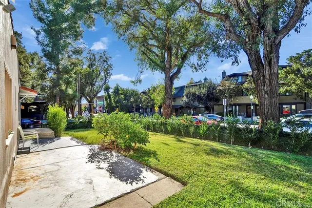 a view of a garden with a bench and trees