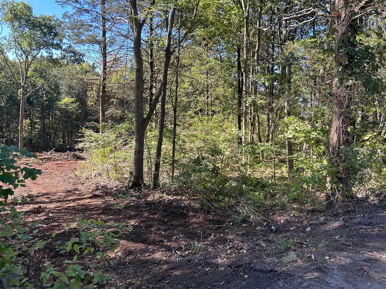 Lot 0 Slim Island Road Bowling Green, KY 42101 - Photo 1 of 1 Gallery Image 1