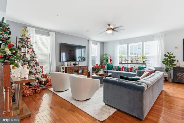 a living room with furniture potted plant and a window