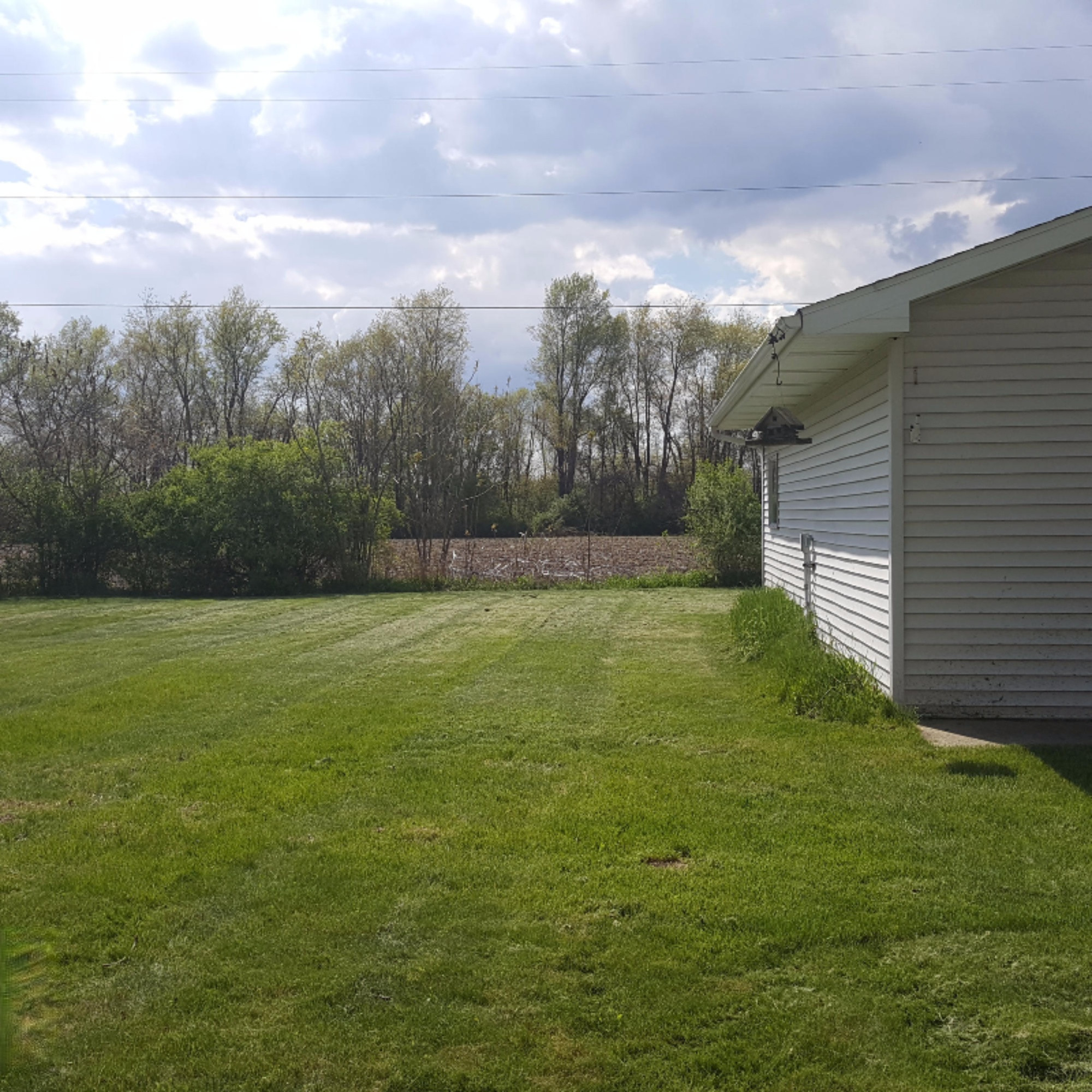 12200 South Sprinkle Road Vicksburg, MI 49097 - Photo 12 of 44 View from garage to pole barn