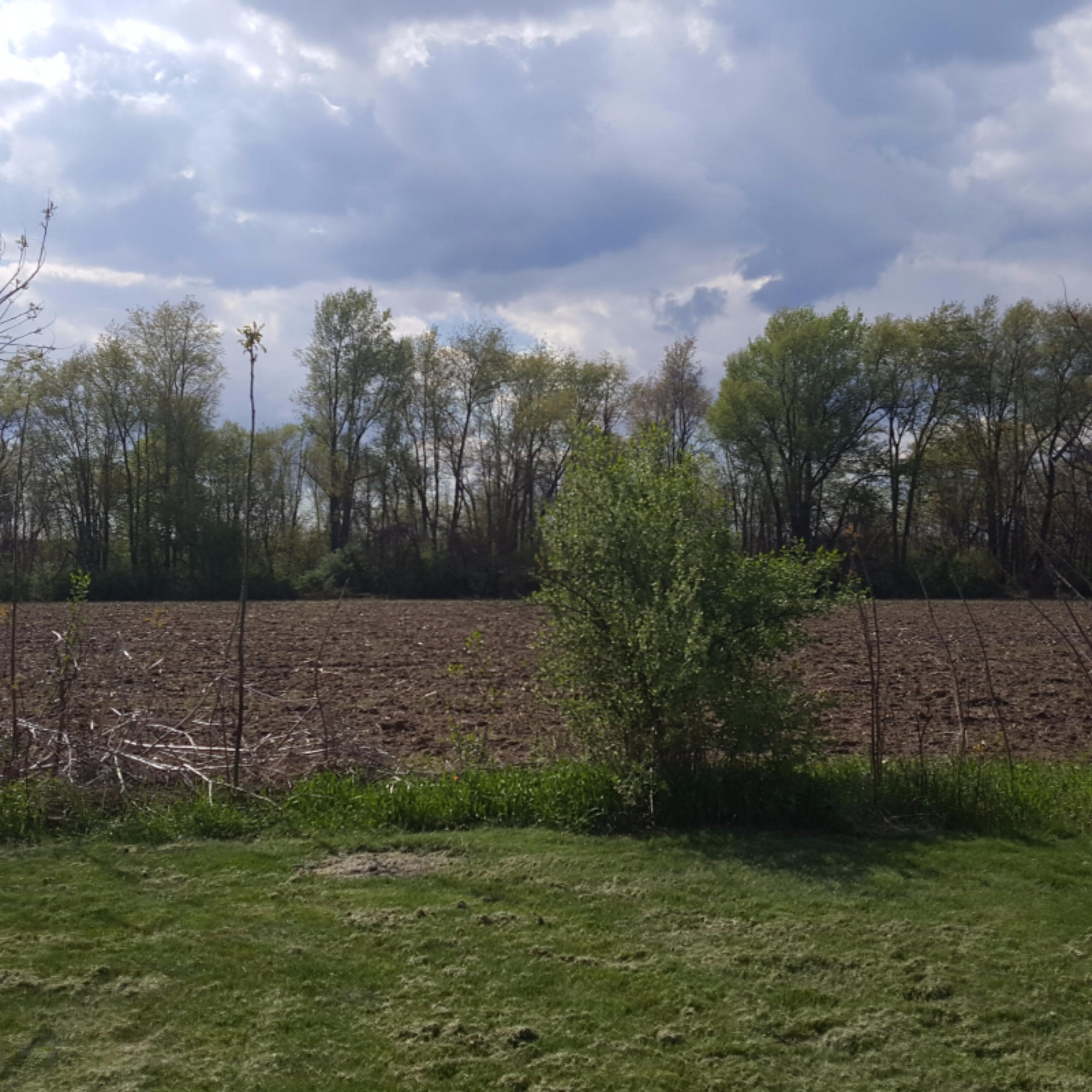 12200 South Sprinkle Road Vicksburg, MI 49097 - Photo 13 of 44 The corn or beans growing behind...