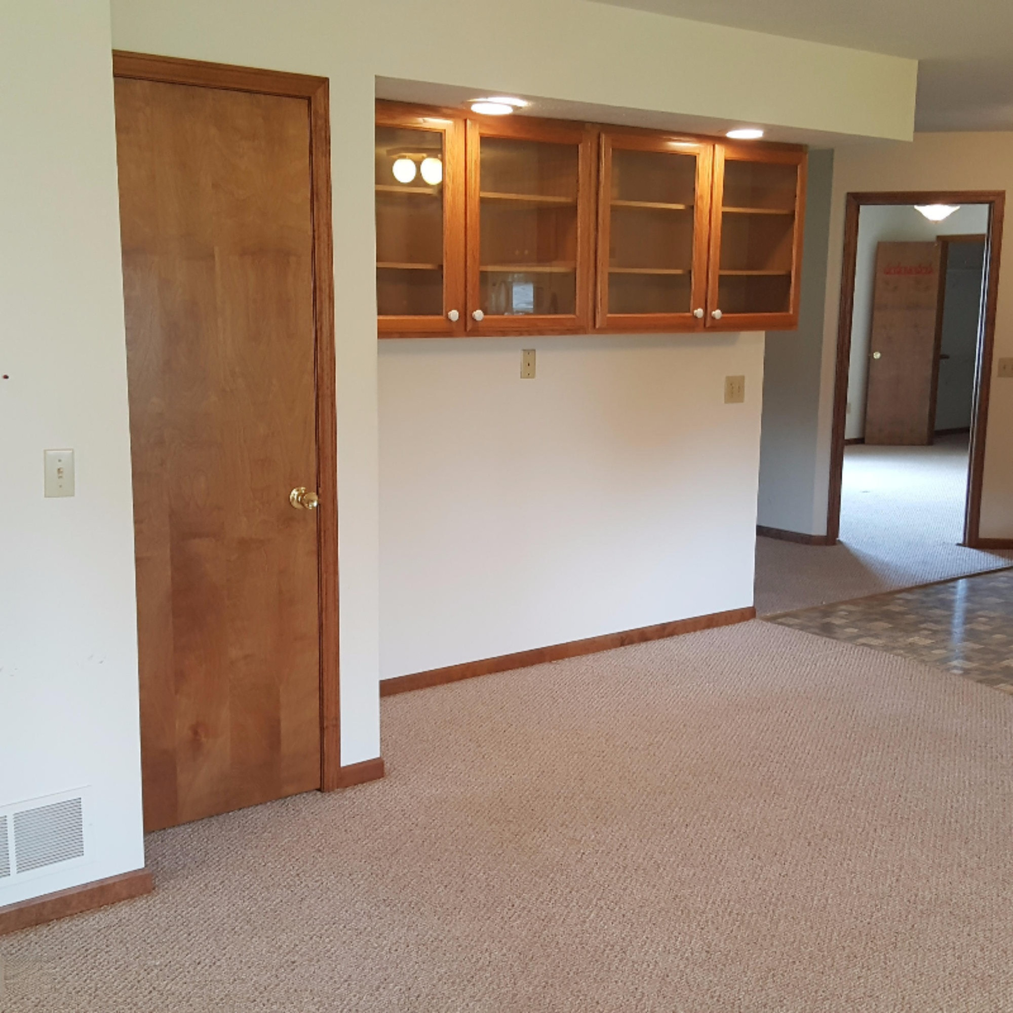 12200 South Sprinkle Road Vicksburg, MI 49097 - Photo 20 of 44 Pantry and glass cabinets