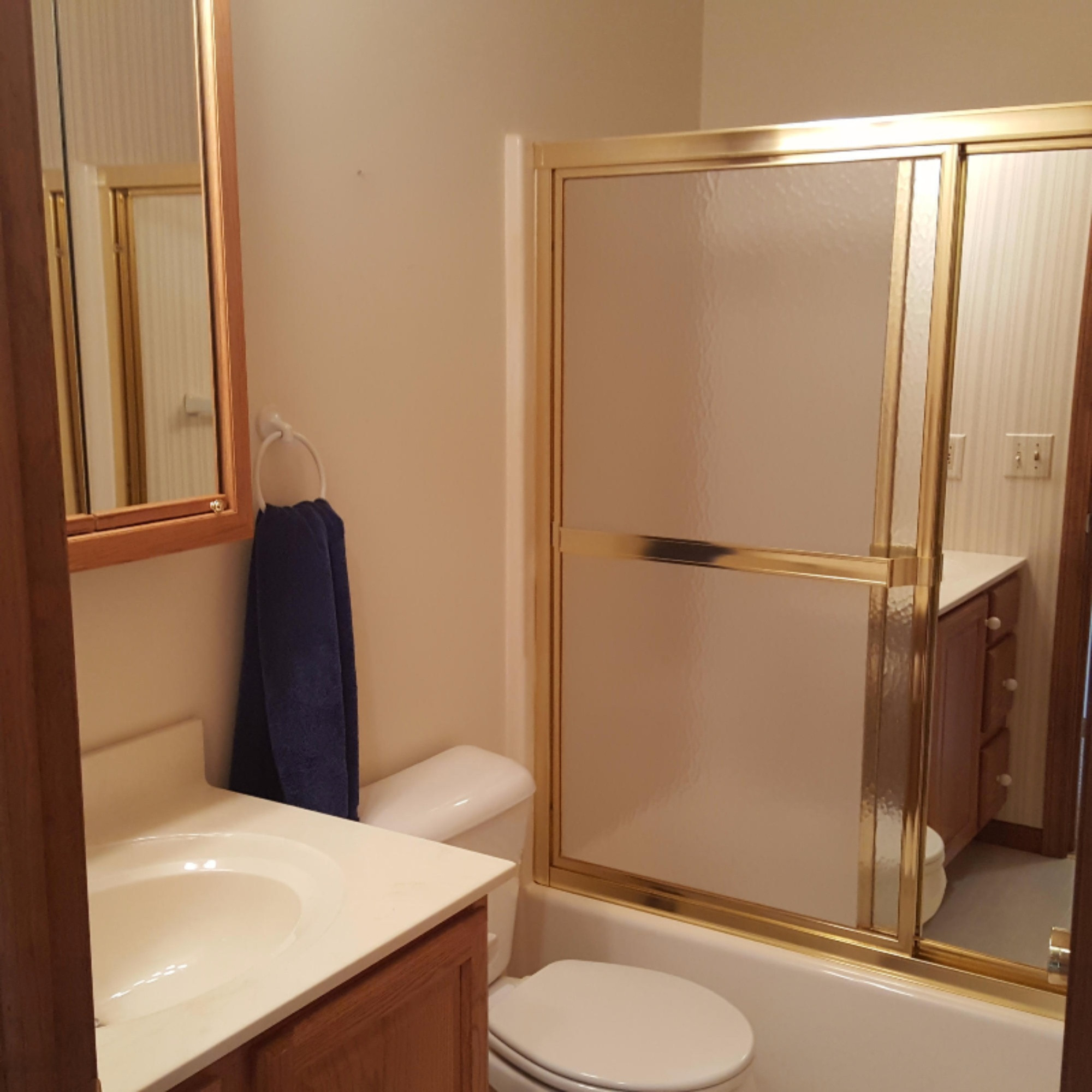 12200 South Sprinkle Road Vicksburg, MI 49097 - Photo 34 of 44 Full bath