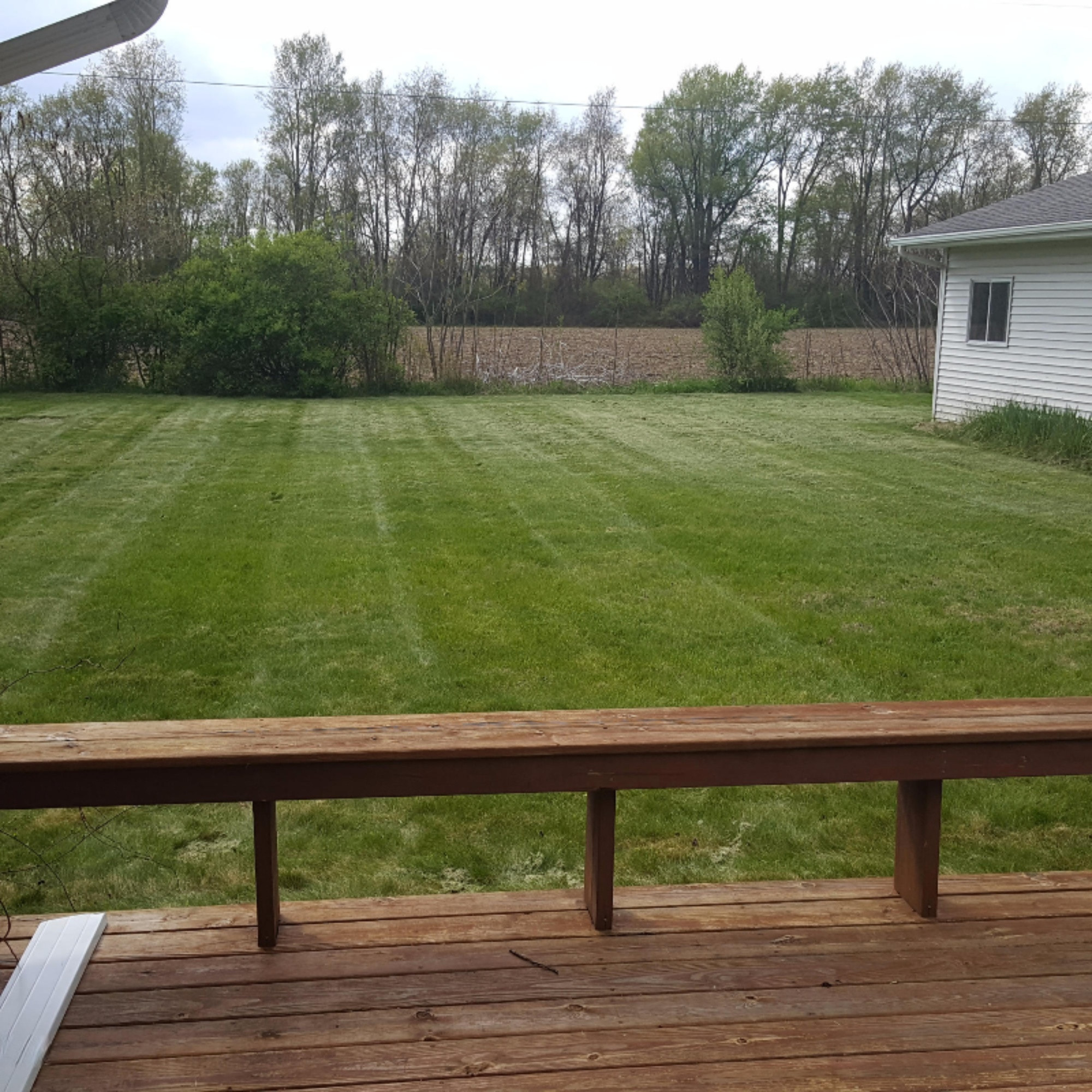 12200 South Sprinkle Road Vicksburg, MI 49097 - Photo 38 of 44 View from the deck