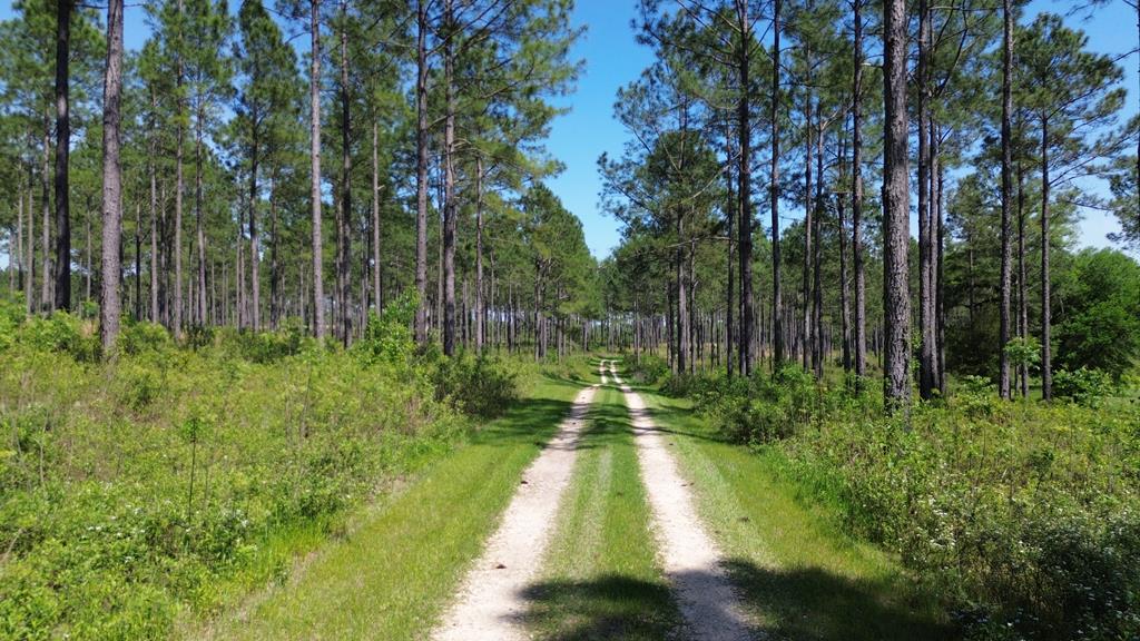 4761 Hadley Ferry Road Cairo, GA 39828 - Photo 1 of 79 Gallery Image 1