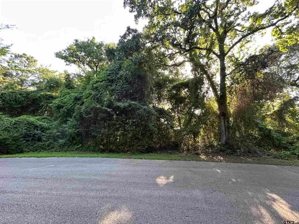 $22,000 | 0 Lookout Lake Circle, Flint, TX 75762