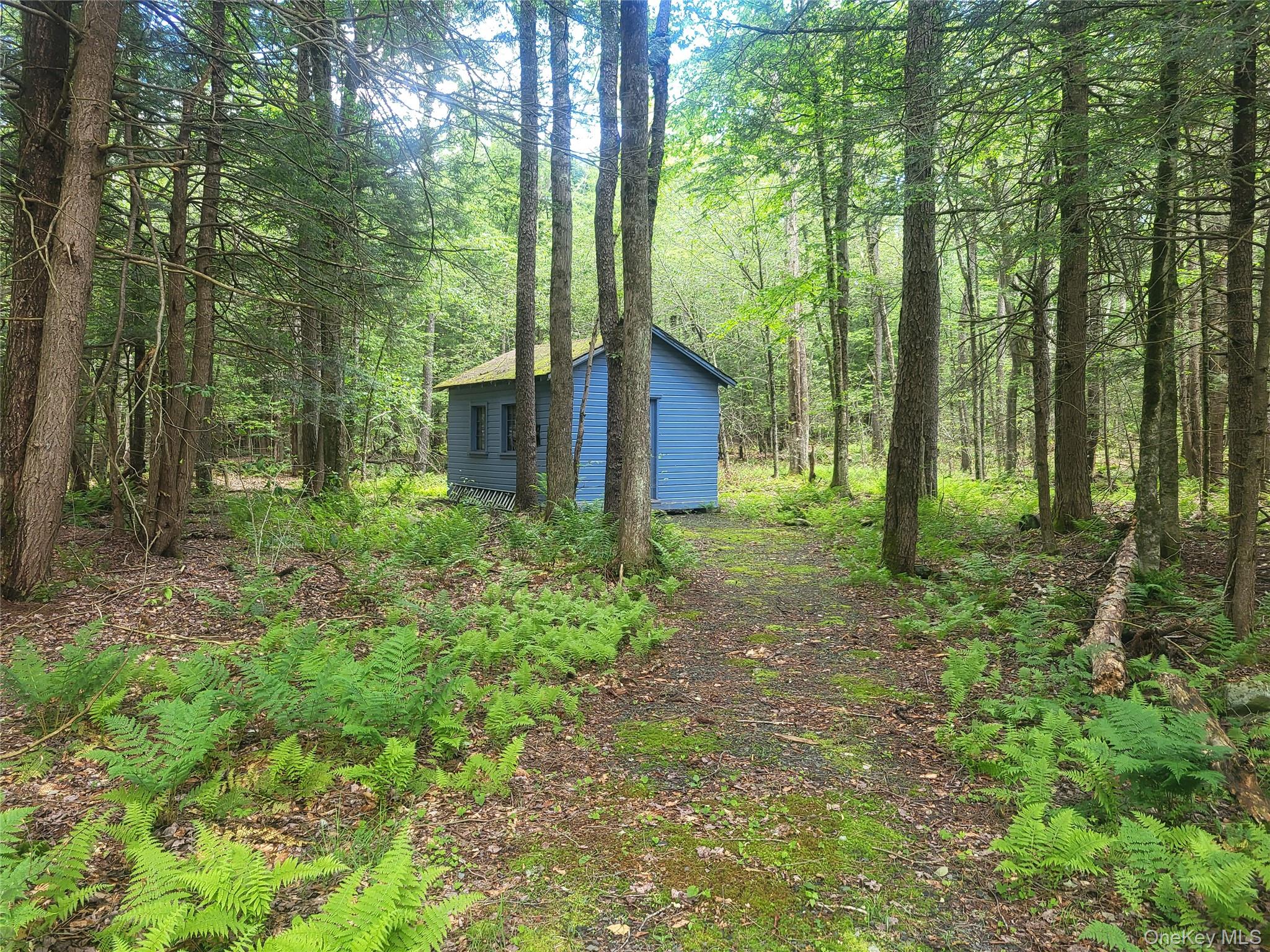 52 Log Road Parksville, NY 12768 - Photo 6 of 31 Cottage