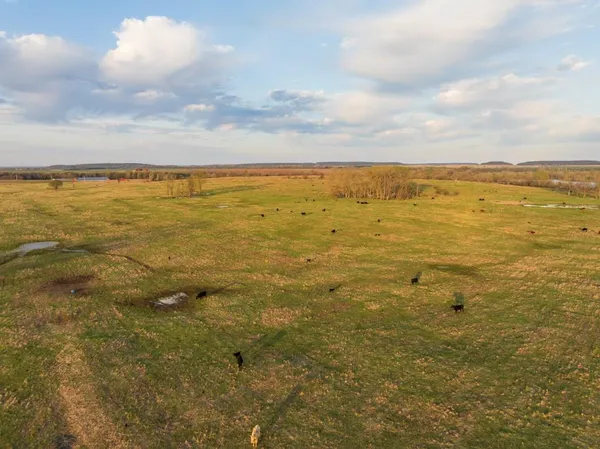 $16,975,000 | Northwest State Rte J Route, Amsterdam, MO 64723