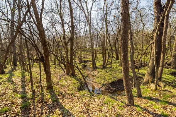 $16,975,000 | Northwest State Rte J Route, Amsterdam, MO 64723