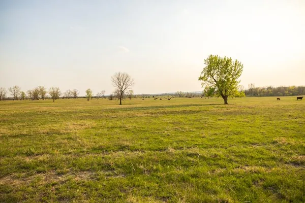 $16,975,000 | Northwest State Rte J Route, Amsterdam, MO 64723