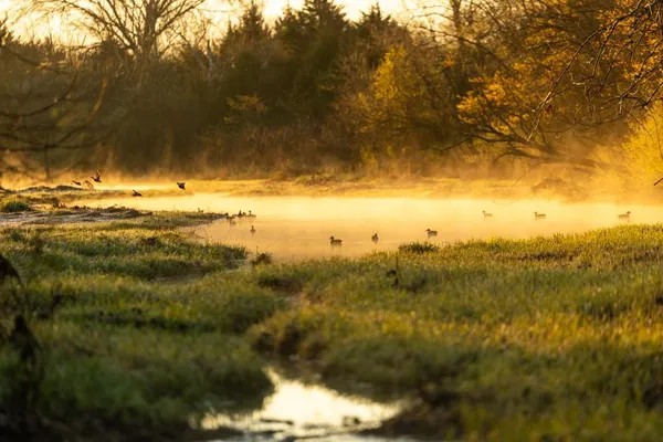 $16,975,000 | Northwest State Rte J Route, Amsterdam, MO 64723