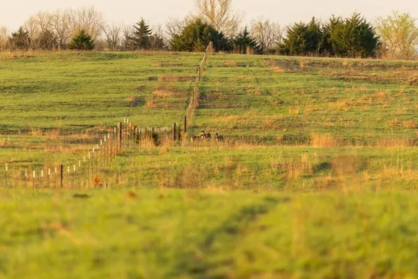 $16,975,000 | Northwest State Rte J Route, Amsterdam, MO 64723