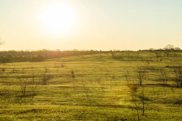 $16,975,000 | Northwest State Rte J Route, Amsterdam, MO 64723