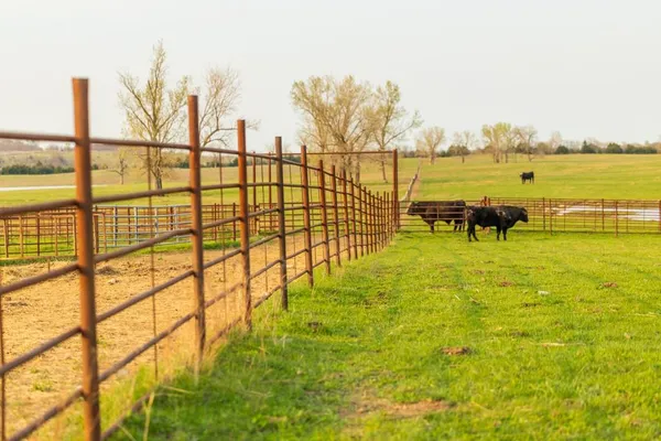 $16,975,000 | Northwest State Rte J Route, Amsterdam, MO 64723