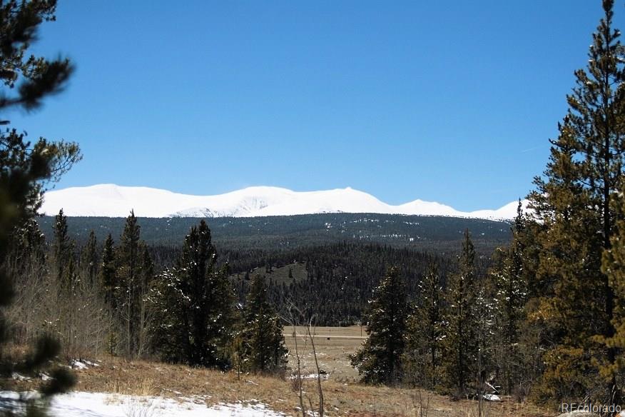 678 Glacier Ridge Road Alma, CO 80420 - Photo 20 of 23 Gallery Image 20