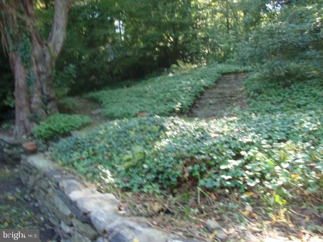 69 West Rose Valley Road Rose Valley, PA 19086 - Photo 30 of 33 Backyard