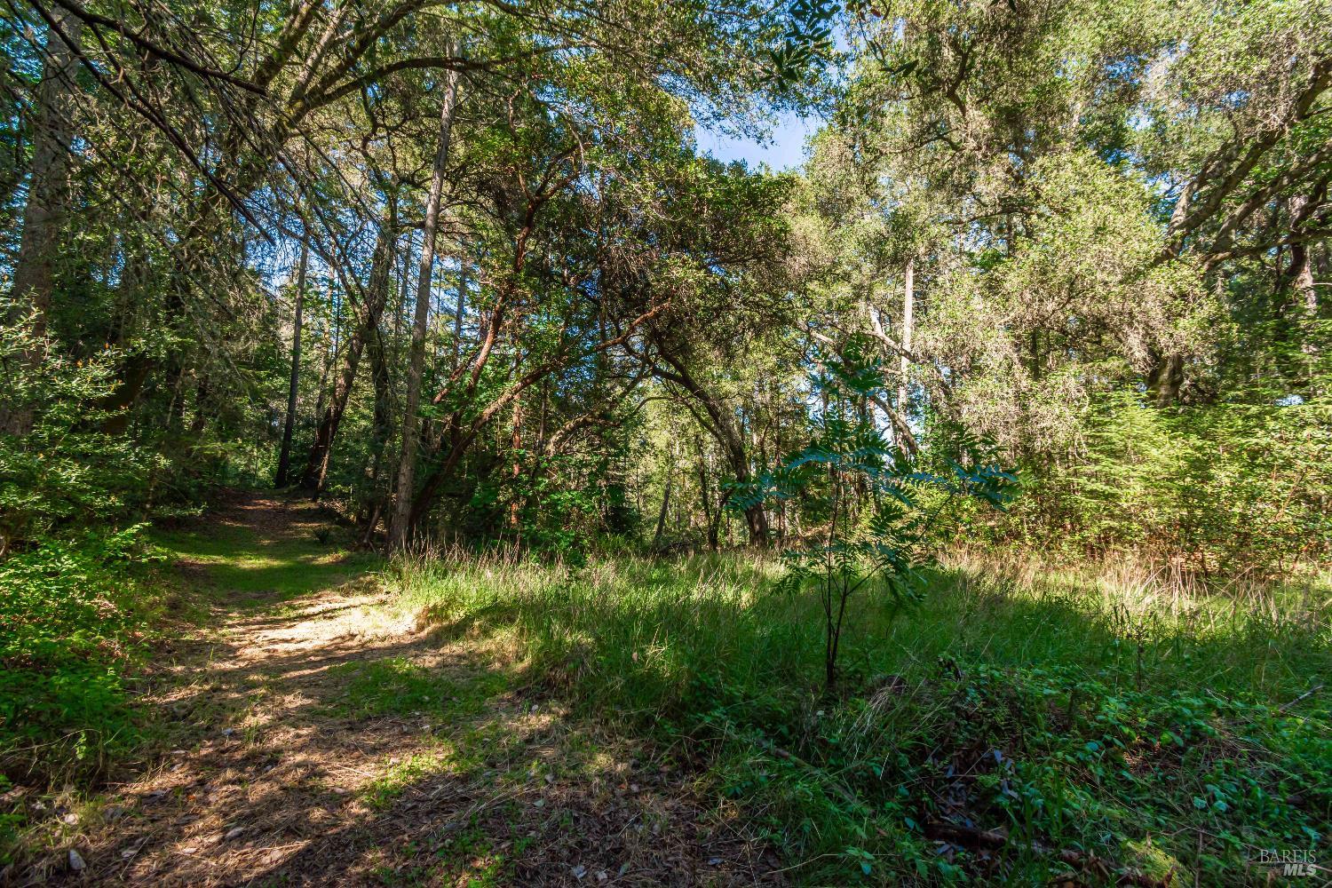 0 Dry Creek Road Napa, CA 94558 - Photo 42 of 98