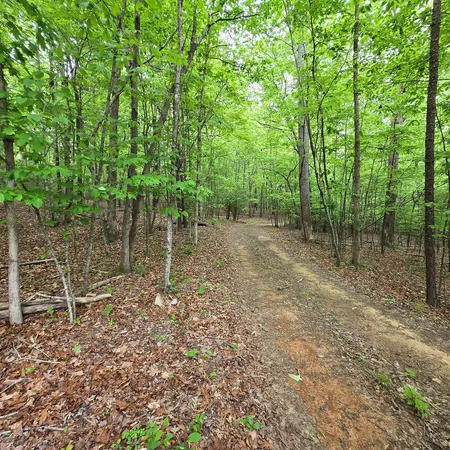 $135,000 | 3.5-acre 3.5-acre Dusty Trail, Mineral Bluff, GA 30559