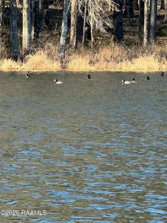 $206,200 | Lot 1 Ramsey Road, Chatham, LA 71226