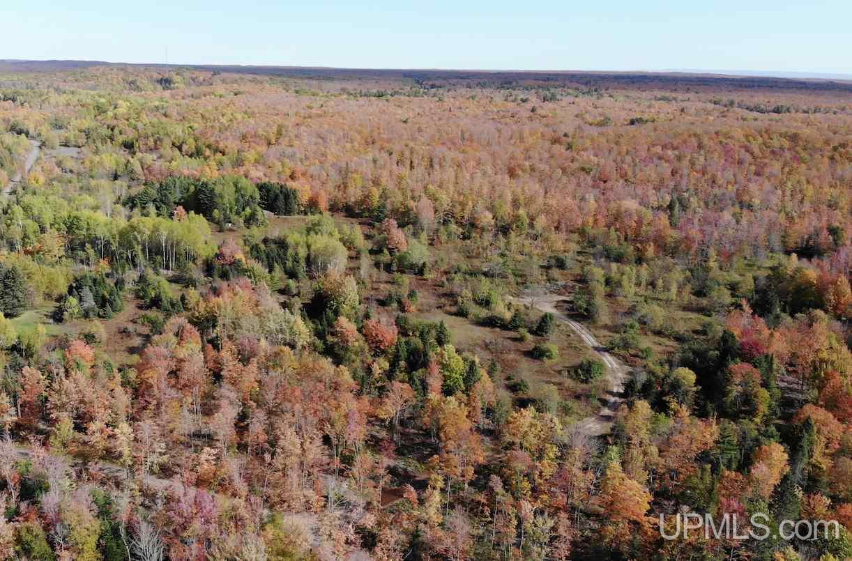 Tbd Winona Road Toivola, MI 49965 - Photo 8 of 23 Gallery Image 8