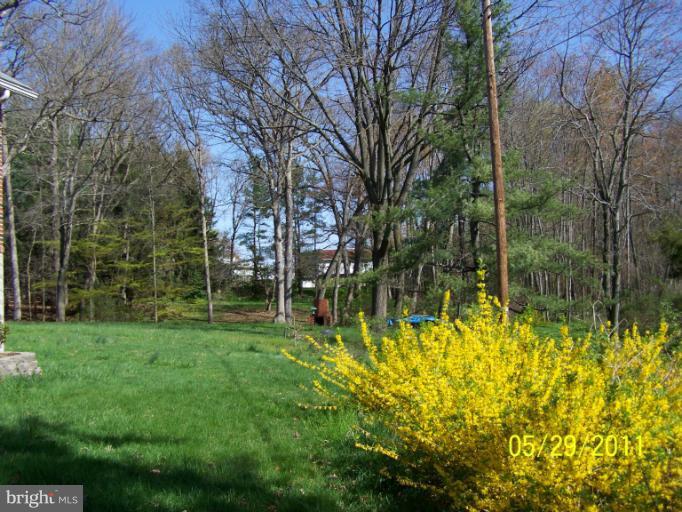 4534 Silver Spring Road Nottingham, MD 21236 - Photo 7 of 30 View of Back Yard