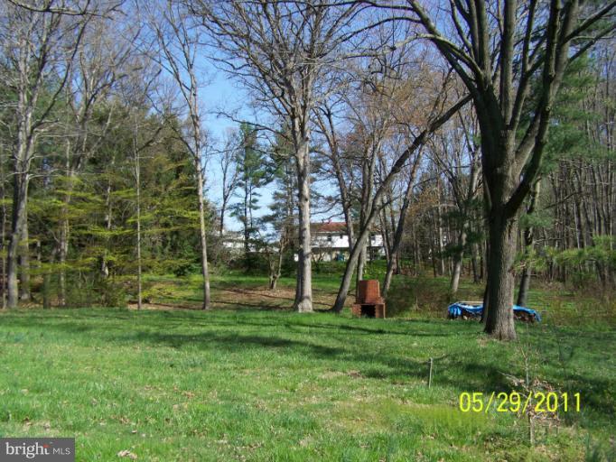 4534 Silver Spring Road Nottingham, MD 21236 - Photo 8 of 30 Back Yard view from Kitchen