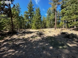2 Orchard Heights Road Goldendale, WA 98620 - Photo 6 of 13 Gallery Image 6