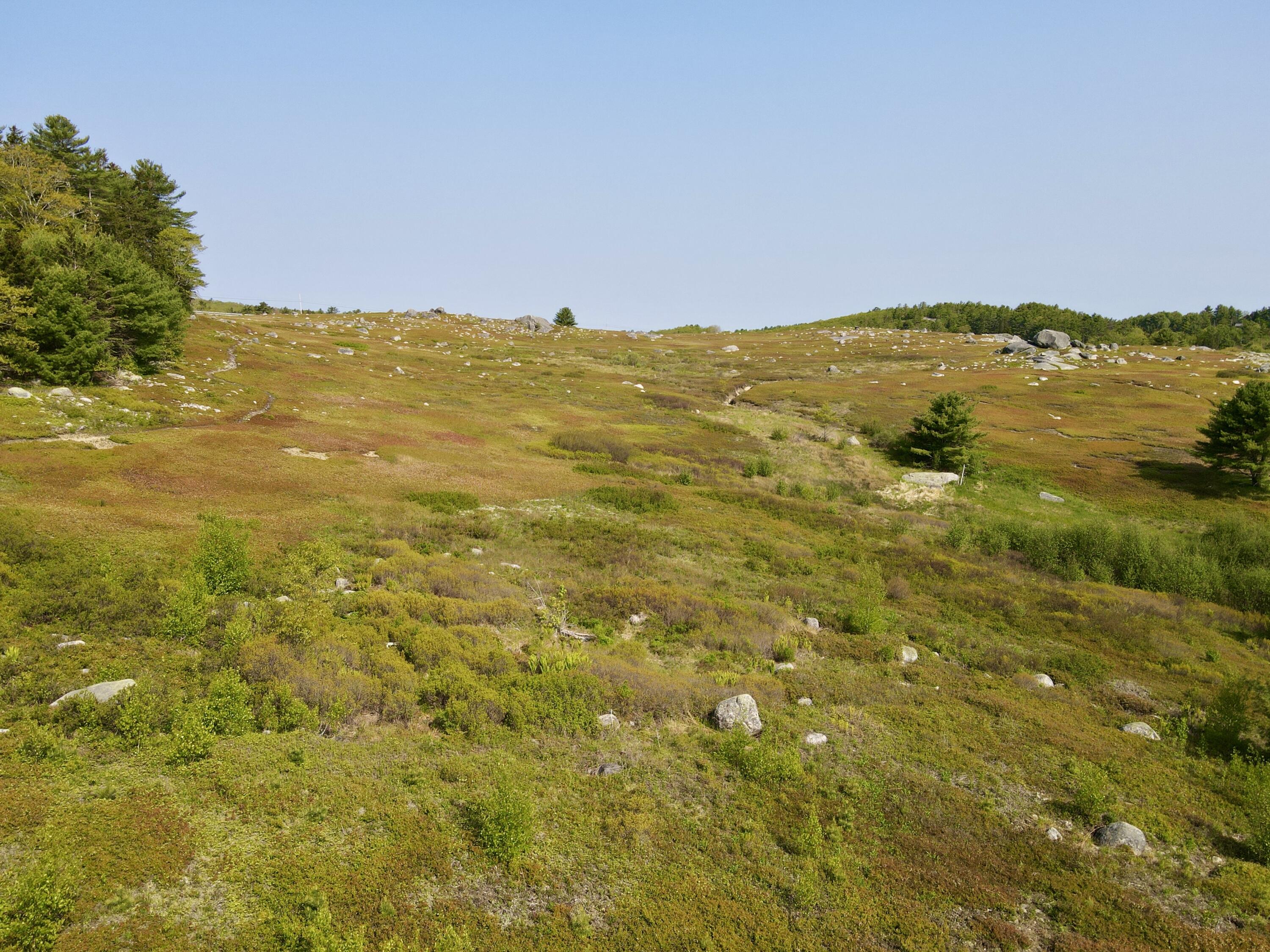 0 Salt Pond Road Blue Hill, ME 04614 - Photo 3 of 19 image_6487327 (1)