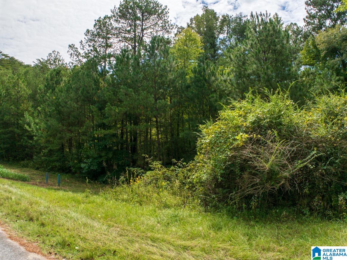 145 Co Road Marbury, AL 36051 - Photo 8 of 12