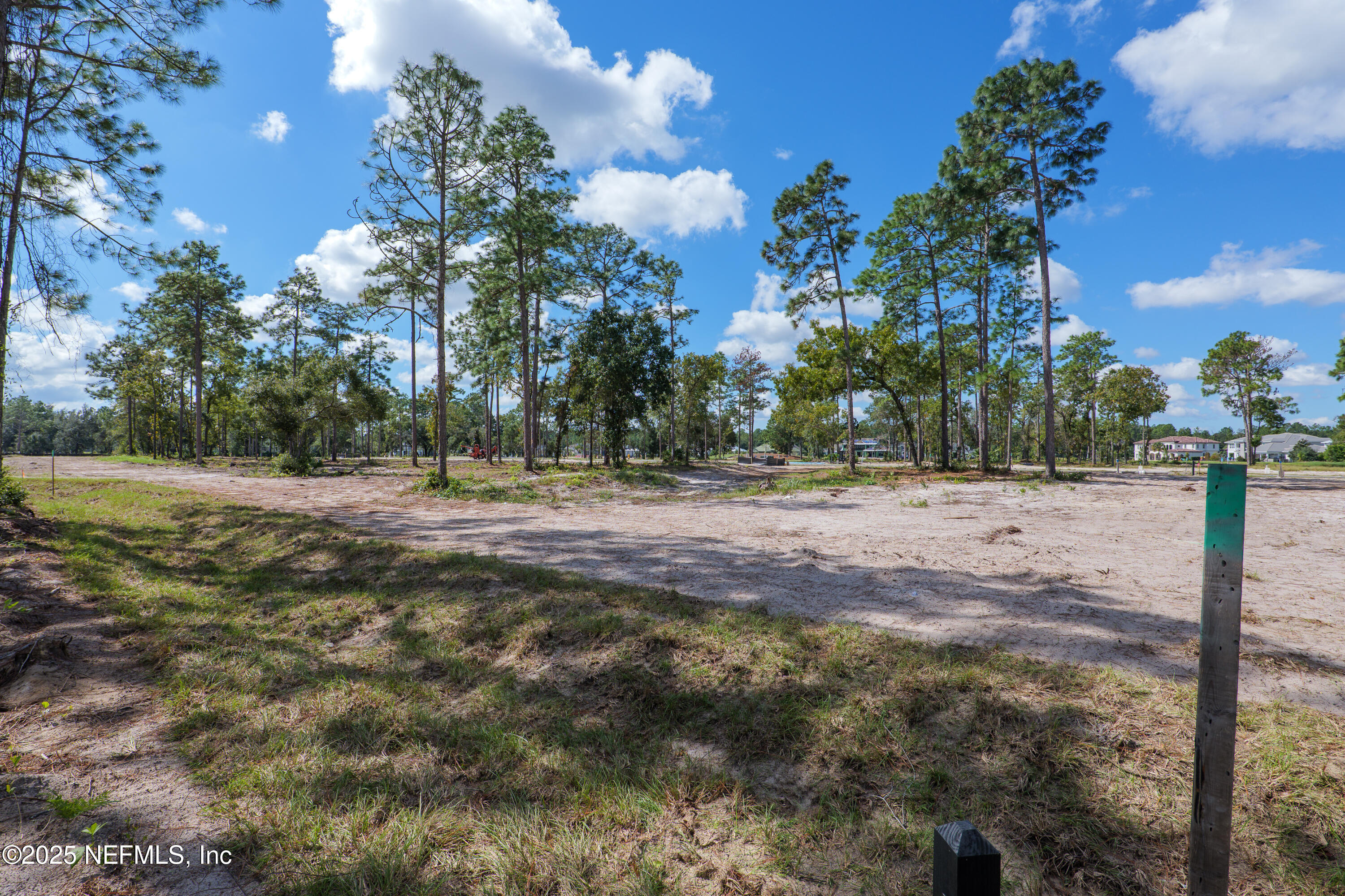 4519 Rose Glen Road Jacksonville, FL 32224 - Photo 11 of 19 a view of outdoor space with trees