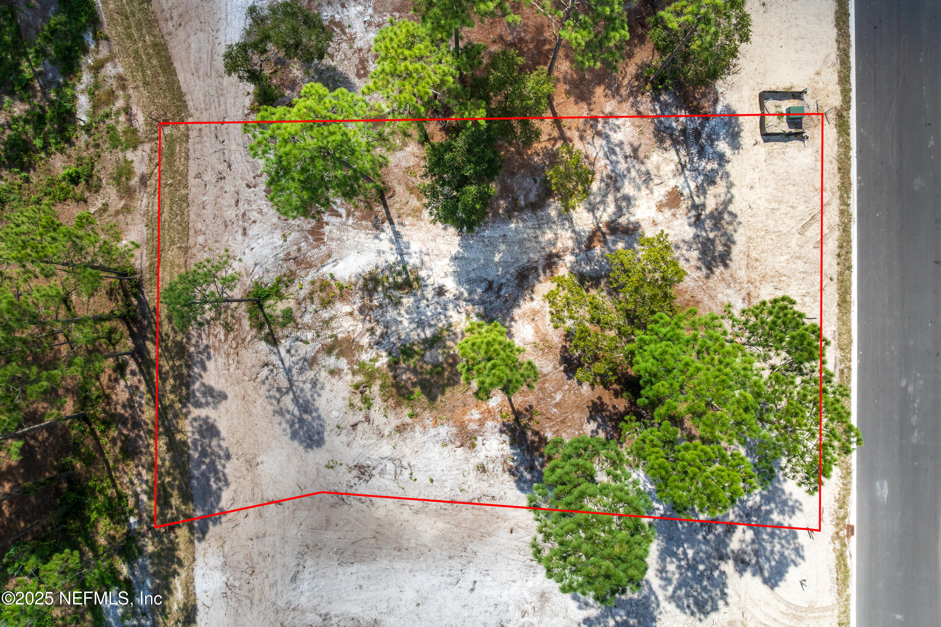 4519 Rose Glen Road Jacksonville, FL 32224 - Photo 8 of 19 a view of a yard with plants and large trees